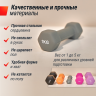 Гантель неопреновая UNIX Fit 1 кг Grey DBNEO1GYx2